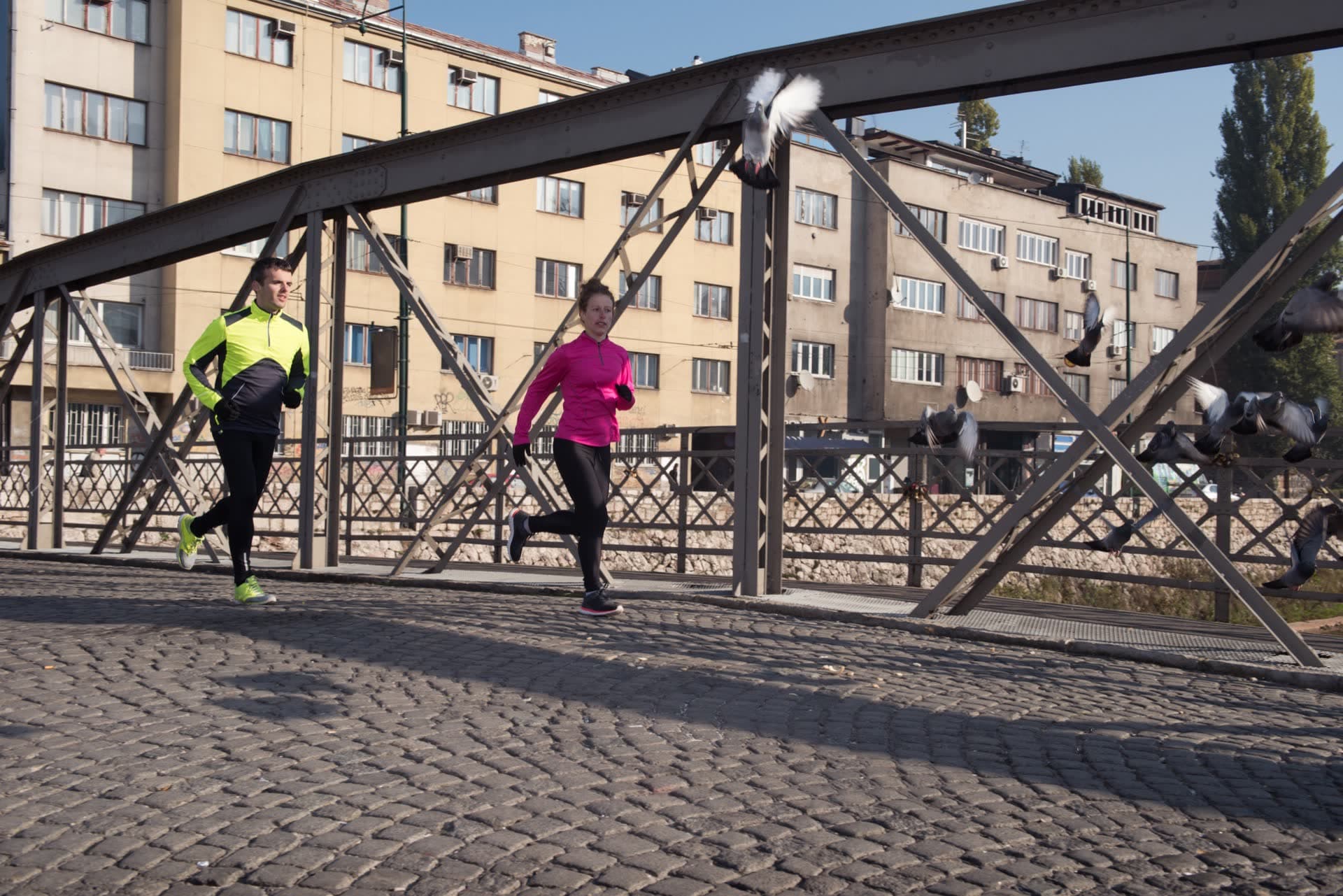 V Półmaraton Aleksandryjski