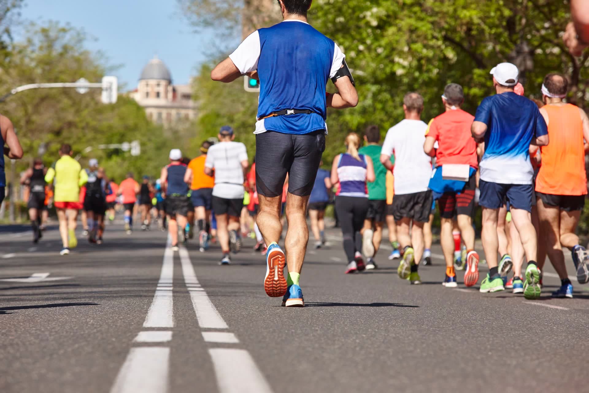 Zalew Run! – Edycja letnia 2026