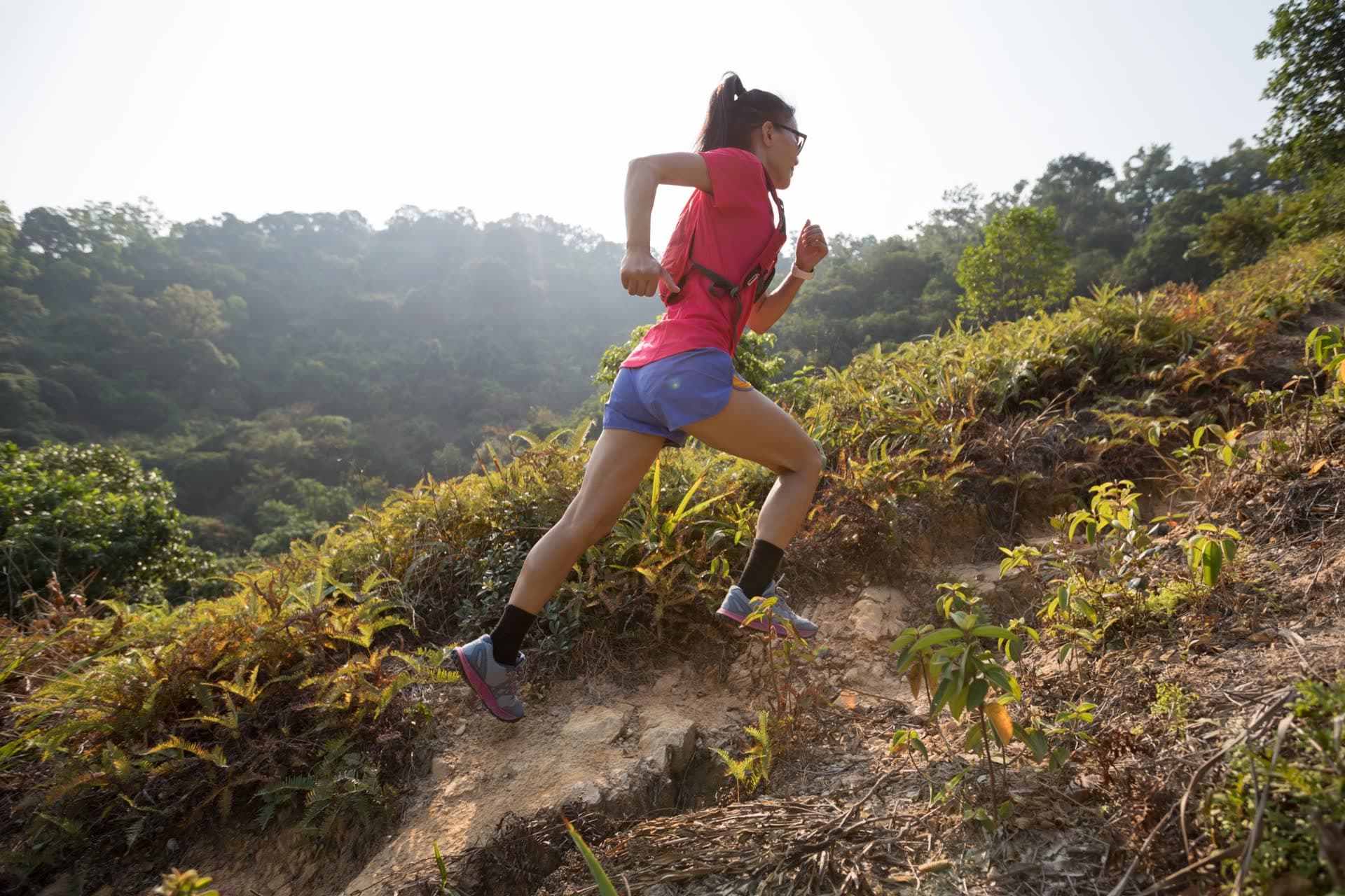 Gdynia Ultra Way Summer Race 2027