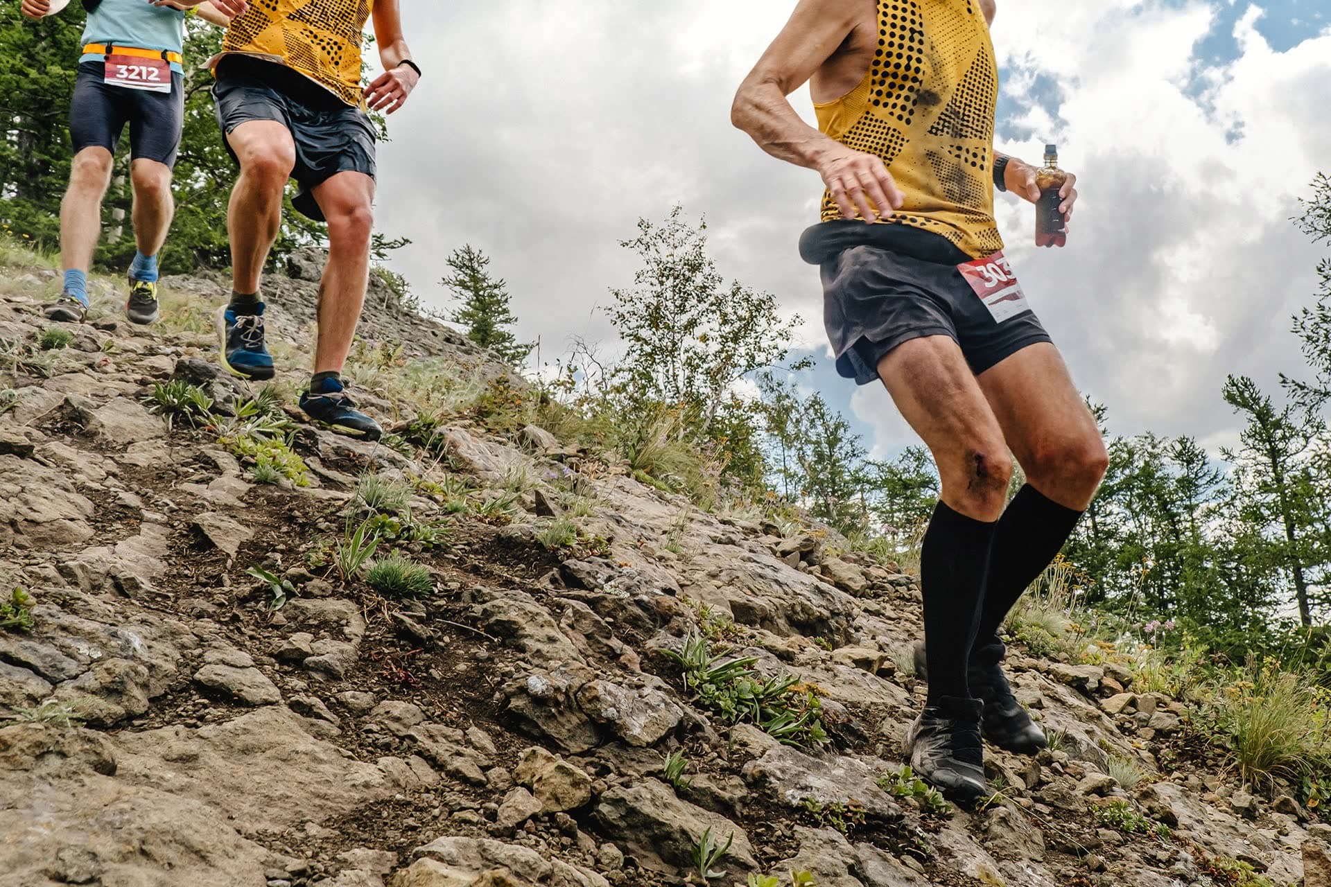 IV Wilczy Półmaraton